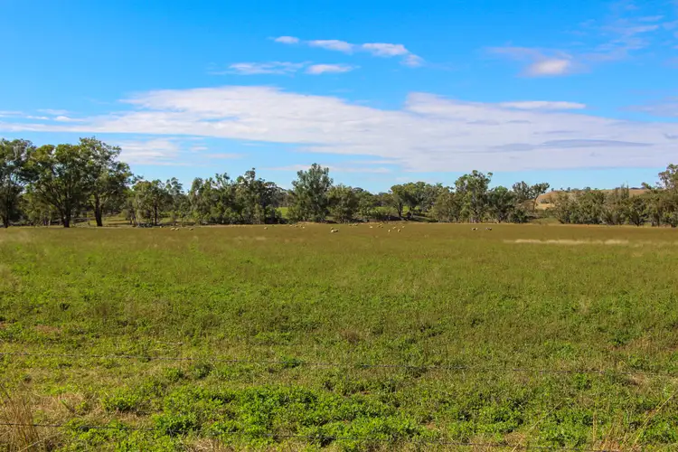 Seventh view of Homely rural property listing, 238 Rob Roy Rd, Rob Roy NSW 2360