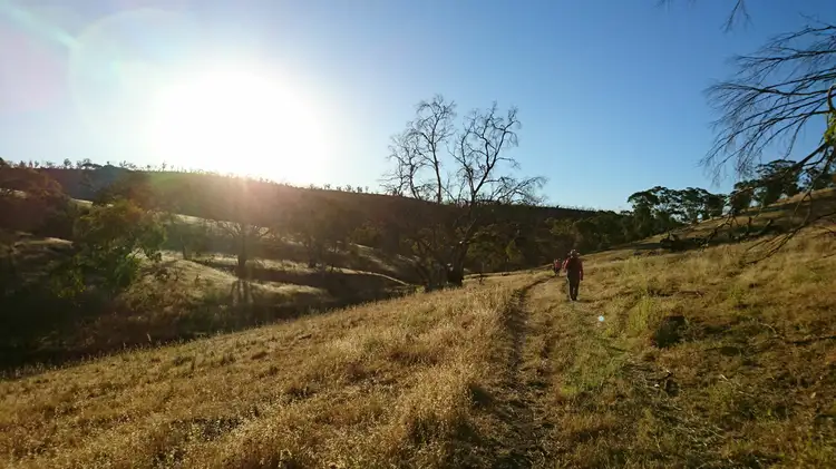 Third view of Homely rural property listing, 39 Glenholme Rd, Wirrabara SA 5481