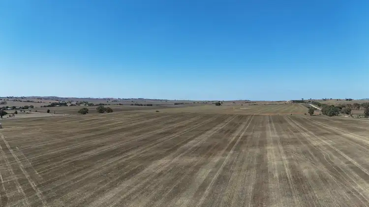 Main view of Homely rural property listing, 'Ryans' Archie Road, Murray Town SA 5481