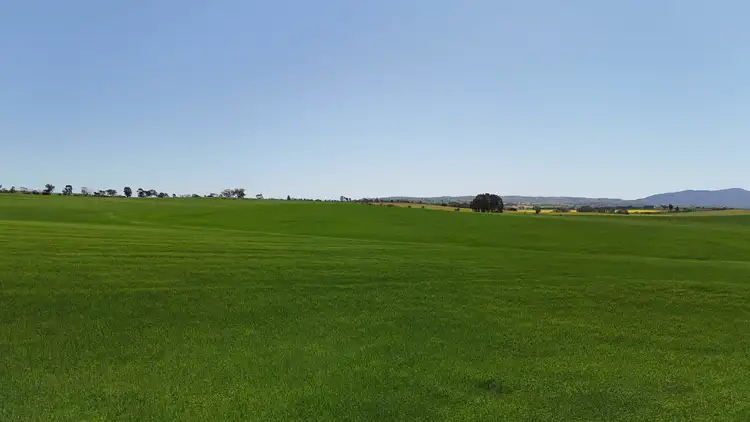 'Ryans' Archie Road, Murray Town SA 5481