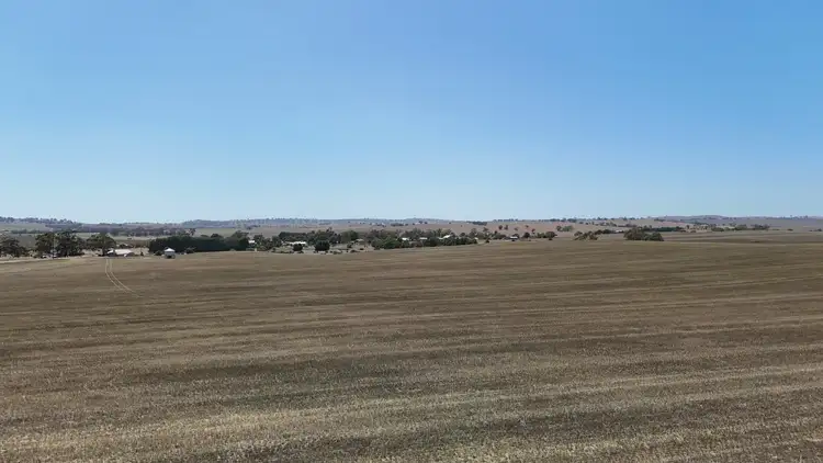 Second view of Homely rural property listing, 'Ryans' Archie Road, Murray Town SA 5481