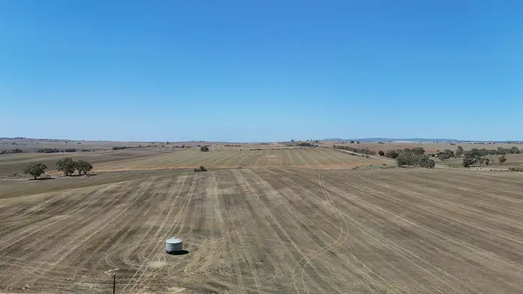 Third view of Homely rural property listing, 'Ryans' Archie Road, Murray Town SA 5481