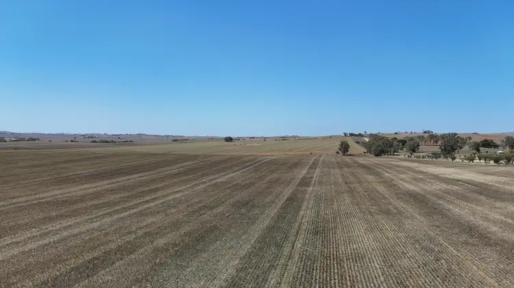 Fourth view of Homely rural property listing, 'Ryans' Archie Road, Murray Town SA 5481