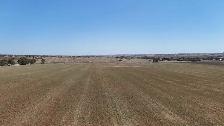 Sixth view of Homely rural property listing, 'Ryans' Archie Road, Murray Town SA 5481