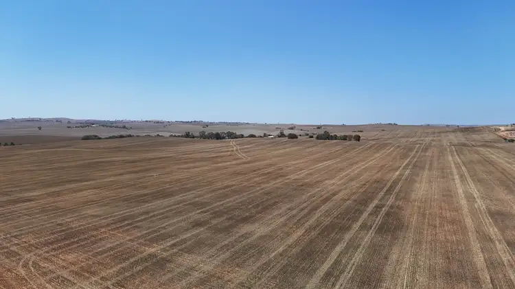 Seventh view of Homely rural property listing, 'Ryans' Archie Road, Murray Town SA 5481