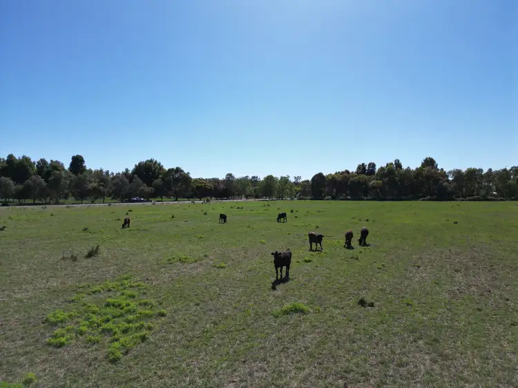 Fifth view of Homely land listing, 54 Cobrawonga Rd, Cobram East VIC 3644
