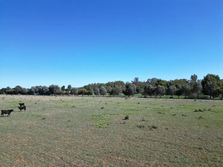 Sixth view of Homely land listing, 54 Cobrawonga Rd, Cobram East VIC 3644