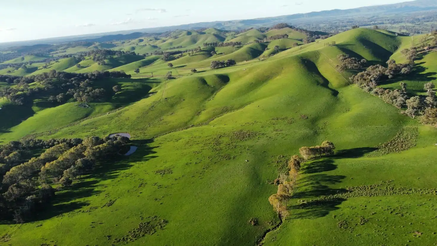 Main view of Homely rural property listing, 409 McInnes Lane, Bobinawarrah VIC 3678