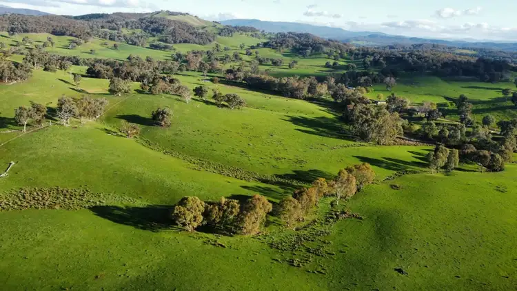 Second view of Homely rural property listing, 409 McInnes Lane, Bobinawarrah VIC 3678