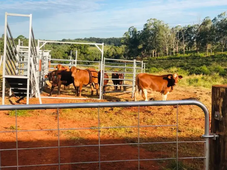 Seventh view of Homely house listing, 28941 Bruce Highway, Childers QLD 4660