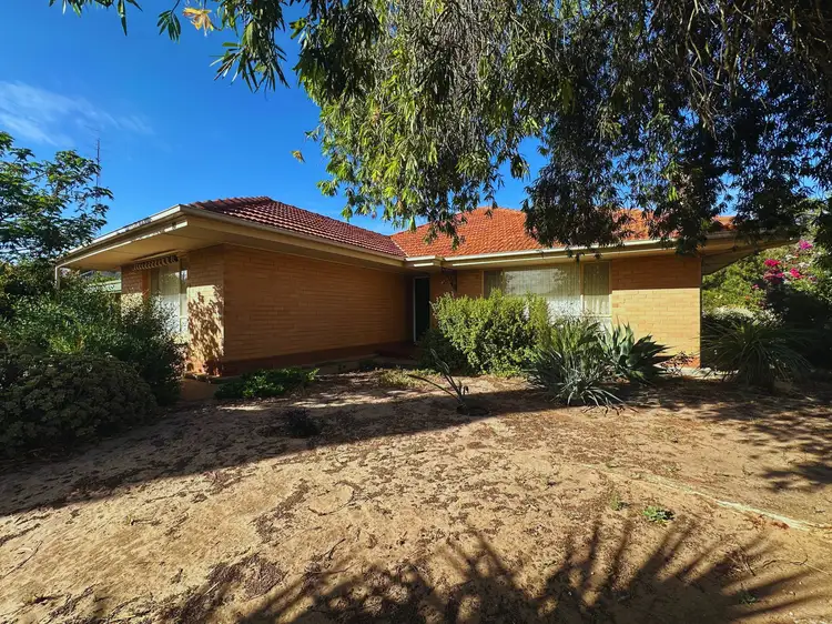Main view of Homely house listing, 10 Upper Yorke Road, Bute SA 5560