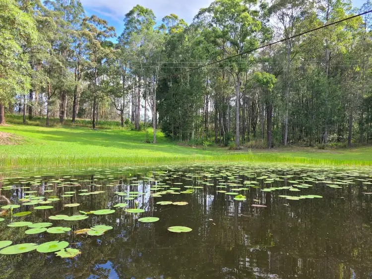Second view of Homely rural property listing, 1478 Collombatti Road, Collombatti NSW 2440