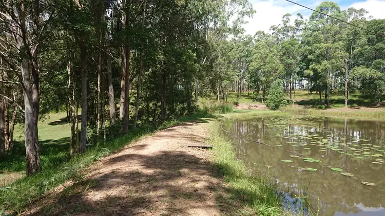 Third view of Homely rural property listing, 1478 Collombatti Road, Collombatti NSW 2440