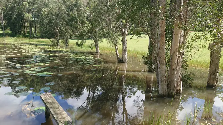 Fourth view of Homely rural property listing, 1478 Collombatti Road, Collombatti NSW 2440