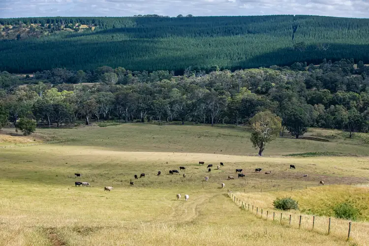 Sixth view of Homely rural property listing, 93 The Bluff Road, Casterton VIC 3311