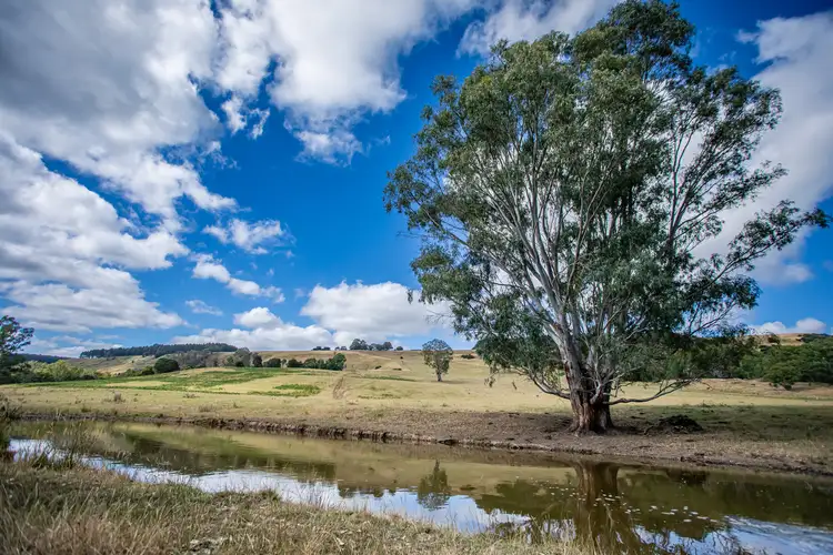Seventh view of Homely rural property listing, 93 The Bluff Road, Casterton VIC 3311