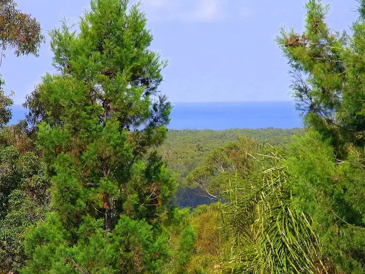 Fifth view of Homely rural property listing, 2 Arunda Lane, Wonboyn NSW 2551