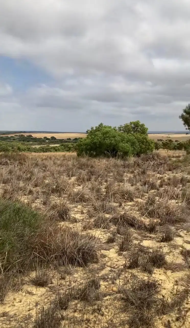 Fifth view of Homely land listing, Lot 231 Bottlebrush Road, Nilgen WA 6044