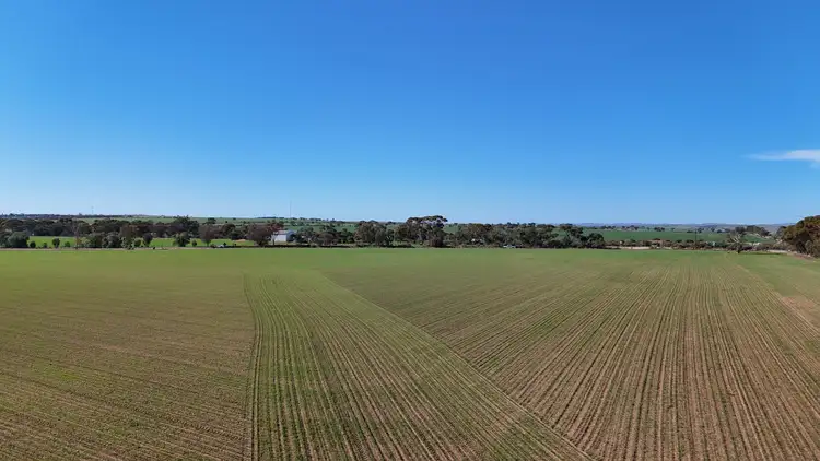 Fourth view of Homely land listing, Section 320 Lambert Road, Crystal Brook SA 5523
