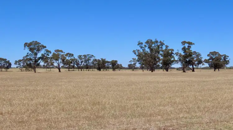 Main view of Homely rural property listing, 505 Bangham Rd, Custon SA 5269