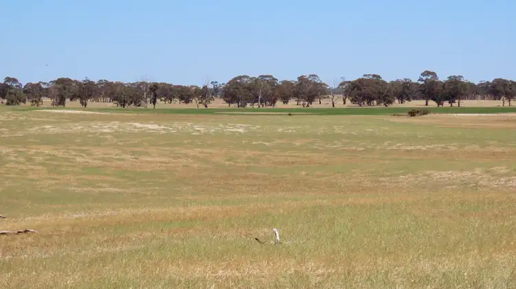 Sixth view of Homely rural property listing, 505 Bangham Rd, Custon SA 5269