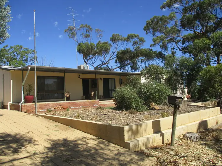 Main view of Homely house listing, 20 Pemberton St, Cunderdin WA 6407