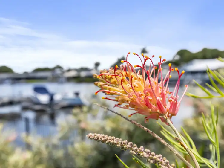 Fourth view of Homely house listing, 53 Jacaranda Dr, Bongaree QLD 4507