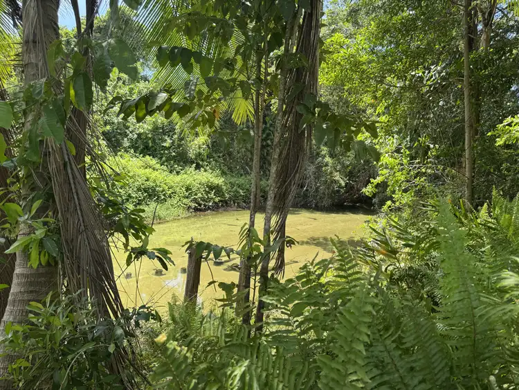 Second view of Homely house listing, 10 Corbett Cl, Bulgun QLD 4854