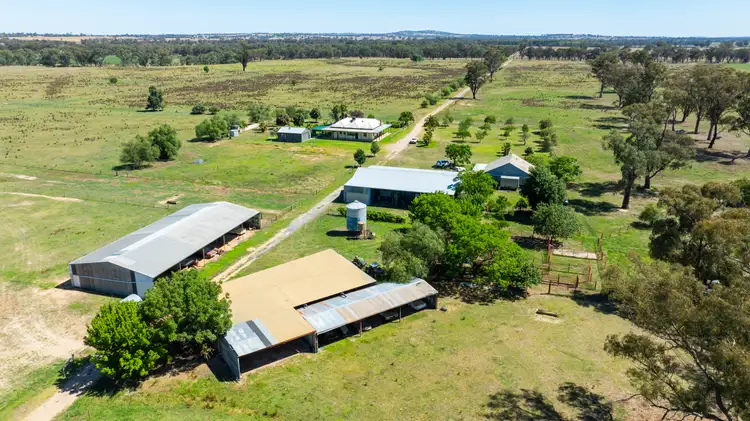 Second view of Homely rural property listing, 'Glenelg East'/1075 Walbundrie Rd, Culcairn NSW 2660