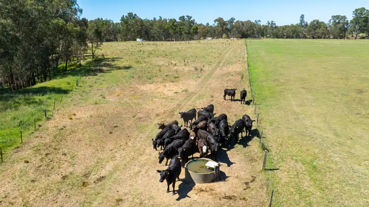 Third view of Homely rural property listing, 'Glenelg East'/1075 Walbundrie Rd, Culcairn NSW 2660