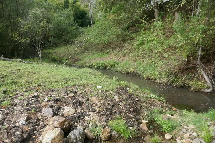 Third view of Homely rural property listing, 66 Old Tweed Road, Wadeville NSW 2474