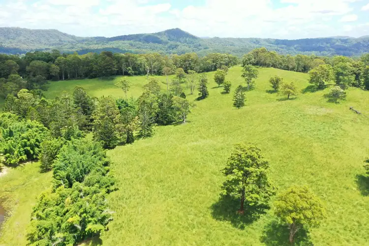Fourth view of Homely rural property listing, 66 Old Tweed Road, Wadeville NSW 2474