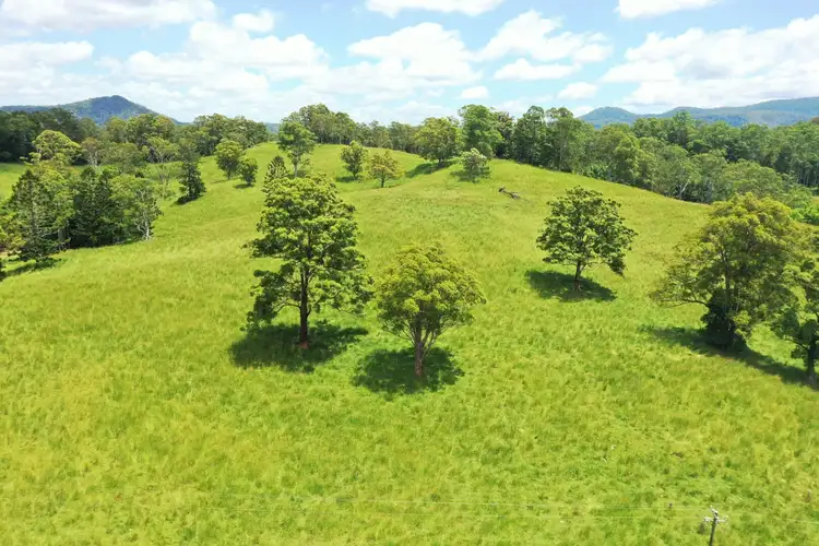 Fifth view of Homely rural property listing, 66 Old Tweed Road, Wadeville NSW 2474