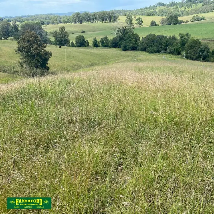 Main view of Homely rural property listing, 2047 The Bucketts Way, Weismantels NSW 2415