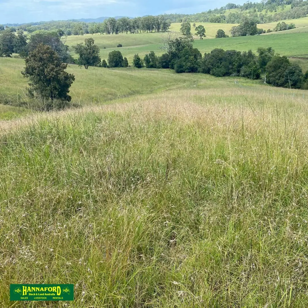Main view of Homely rural property listing, 2047 The Bucketts Way, Weismantels NSW 2415
