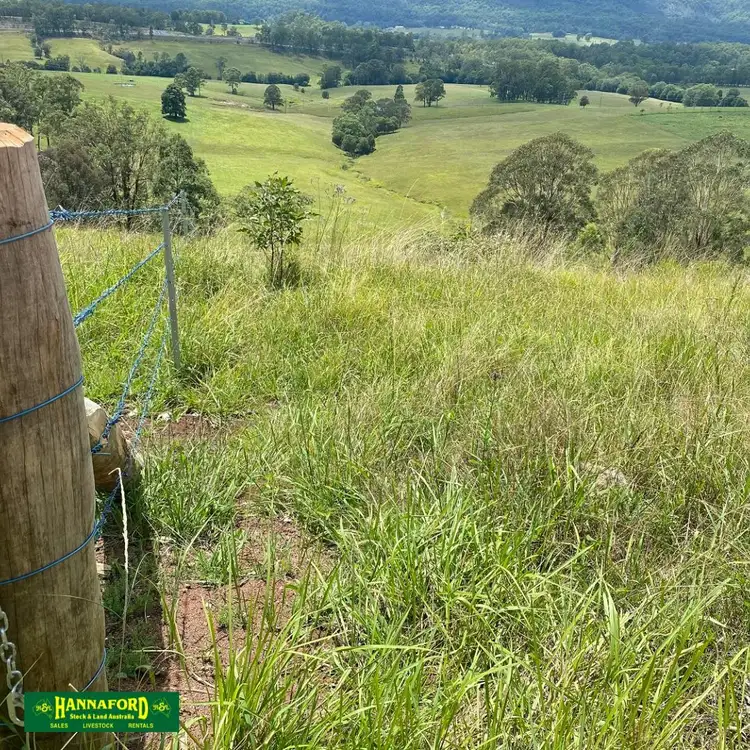 Sixth view of Homely rural property listing, 2047 The Bucketts Way, Weismantels NSW 2415