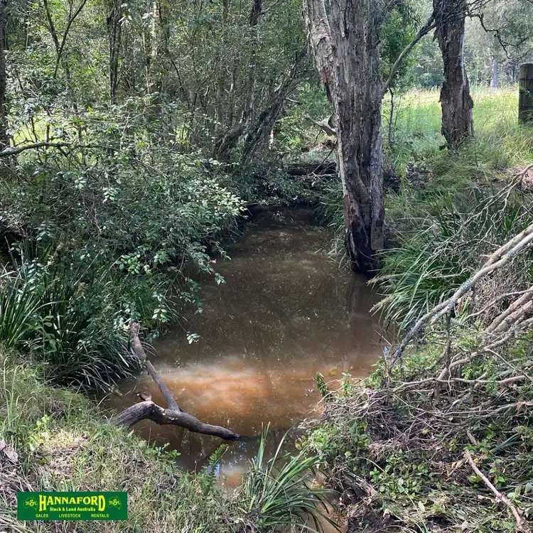 Seventh view of Homely rural property listing, 2047 The Bucketts Way, Weismantels NSW 2415