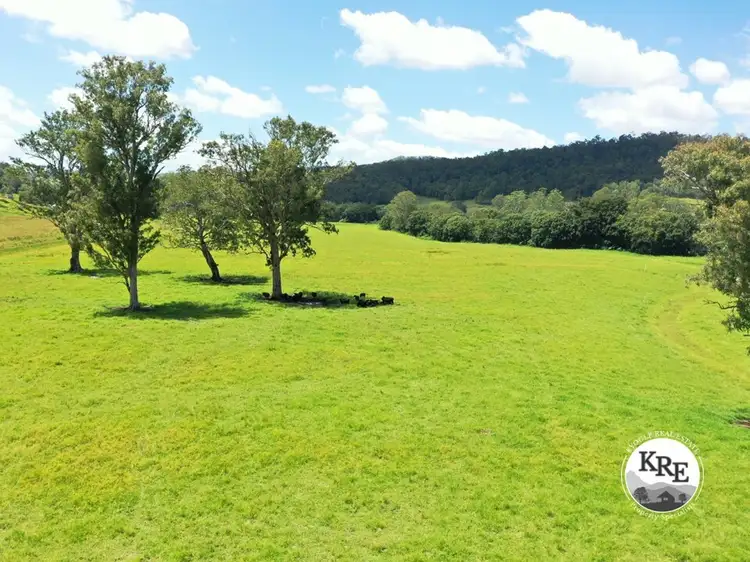 1100 Iron Pot Creek & Ghinni Ghi Roads, Kyogle NSW 2474