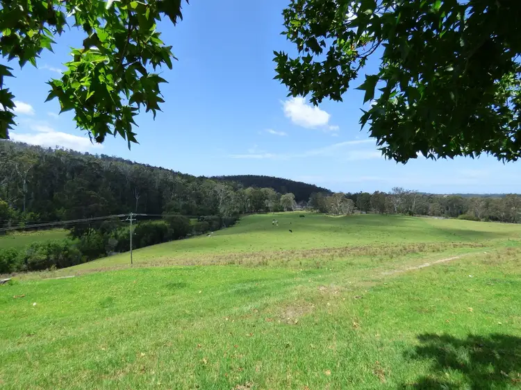 Third view of Homely rural property listing, 280 Nullica Short Cut Rd, NULLICA Via, Eden NSW 2551