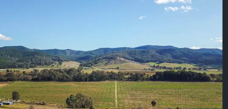 Main view of Homely land listing, 551B Buffalo River Road, Buffalo River VIC 3737