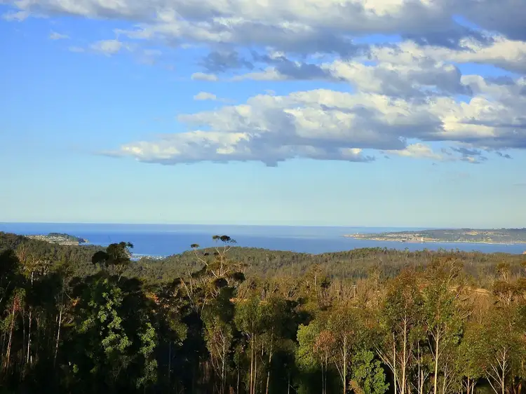 181 Silver Top Crescent, NULLICA Via, Eden NSW 2551