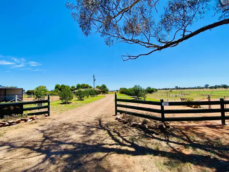 36 Lesterfield Lane, Coolamon NSW 2701