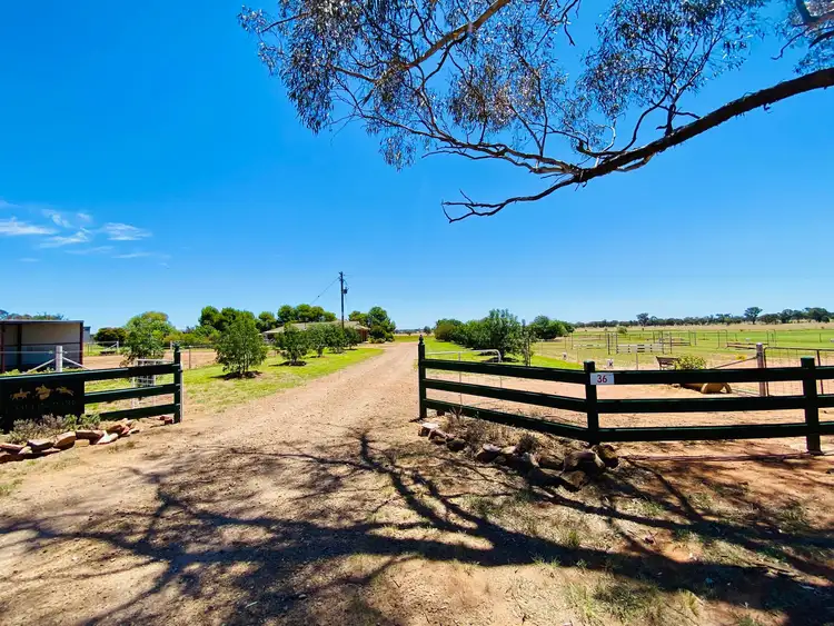 Fourth view of Homely rural property listing, 36 Lesterfield Lane, Coolamon NSW 2701