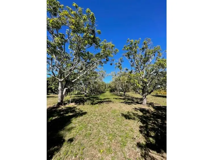 Seventh view of Homely house listing, 401 Midge Point Rd, Bloomsbury QLD 4799