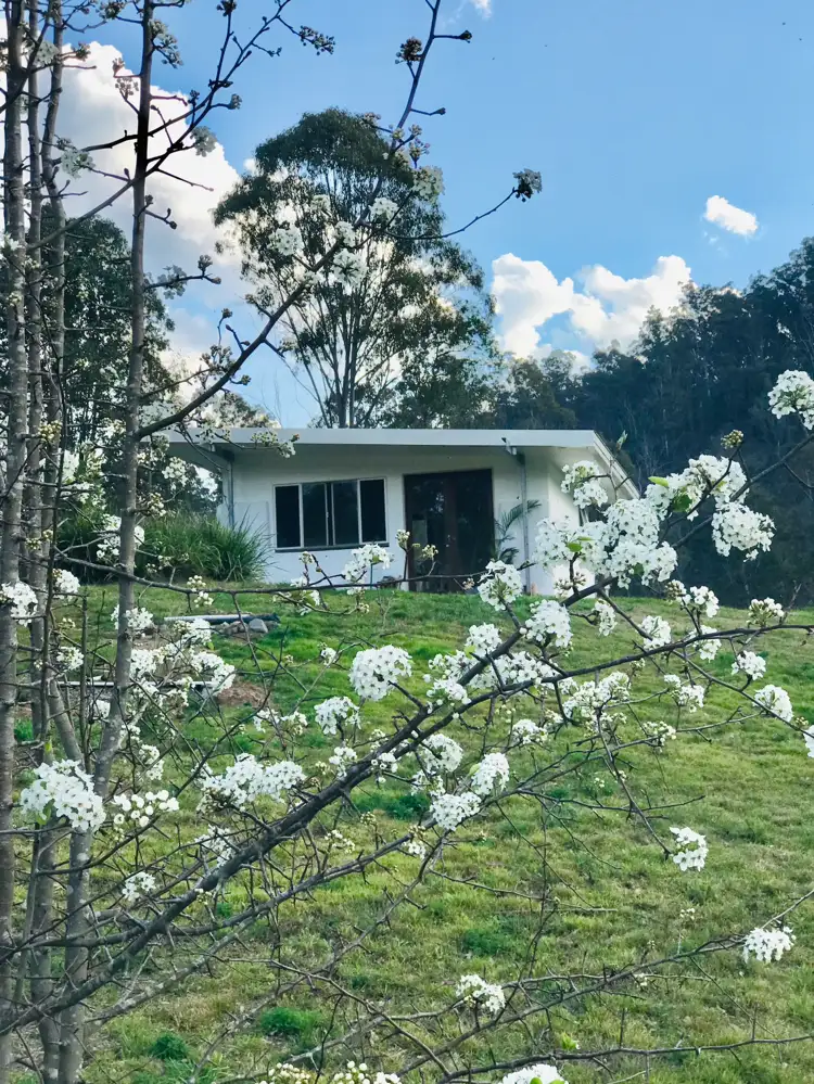 2575 Paddys Flat Road, Tabulam NSW 2469