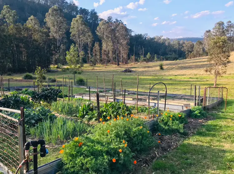 Fifth view of Homely rural property listing, 2575 Paddys Flat Road, Tabulam NSW 2469