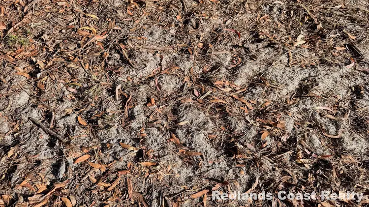 Fourth view of Homely land listing, 16 Dickenson Drive, Russell Island QLD 4184