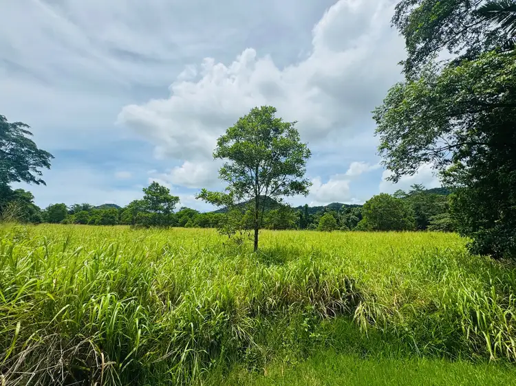 Main view of Homely land listing, LOT 1 Jackson Rd, Shell Pocket QLD 4855