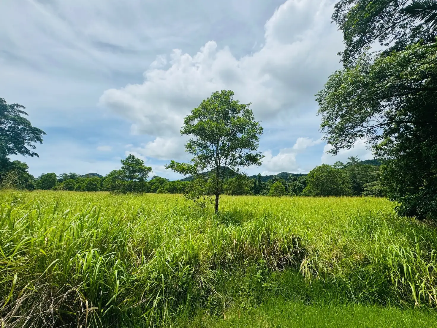Main view of Homely land listing, LOT 1 Jackson Rd, Shell Pocket QLD 4855