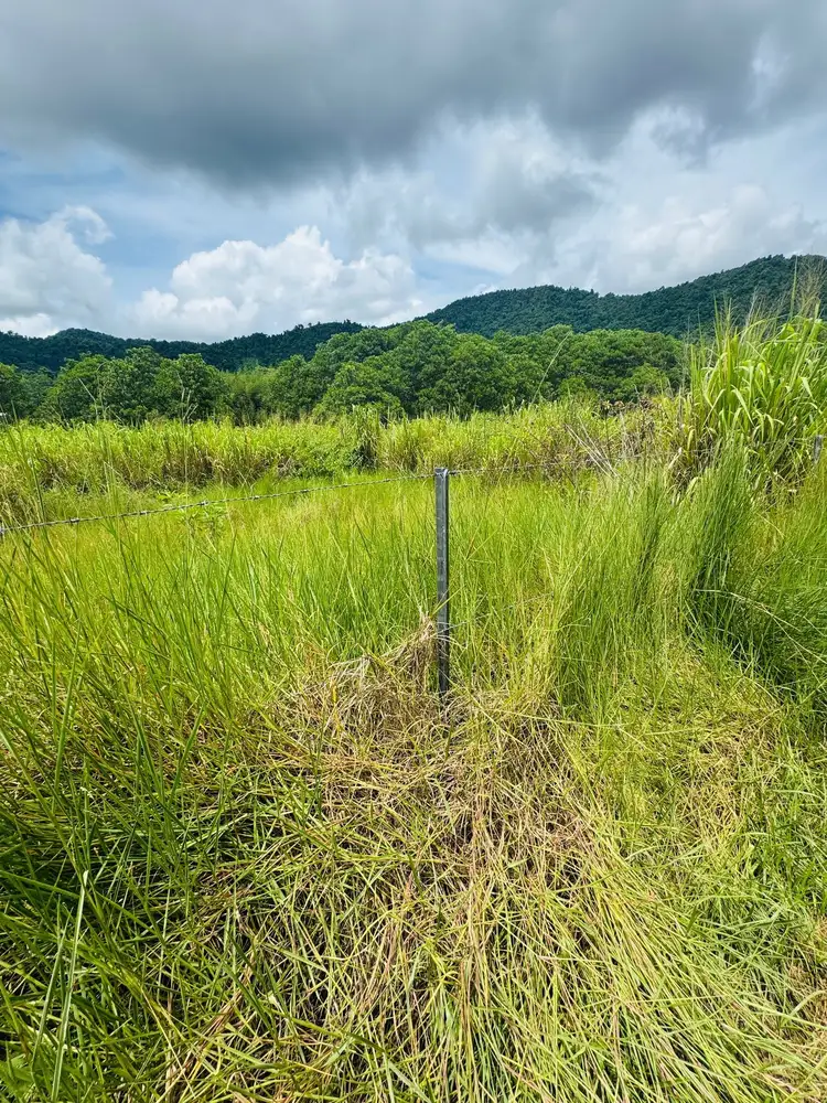 Sixth view of Homely land listing, LOT 1 Jackson Rd, Shell Pocket QLD 4855